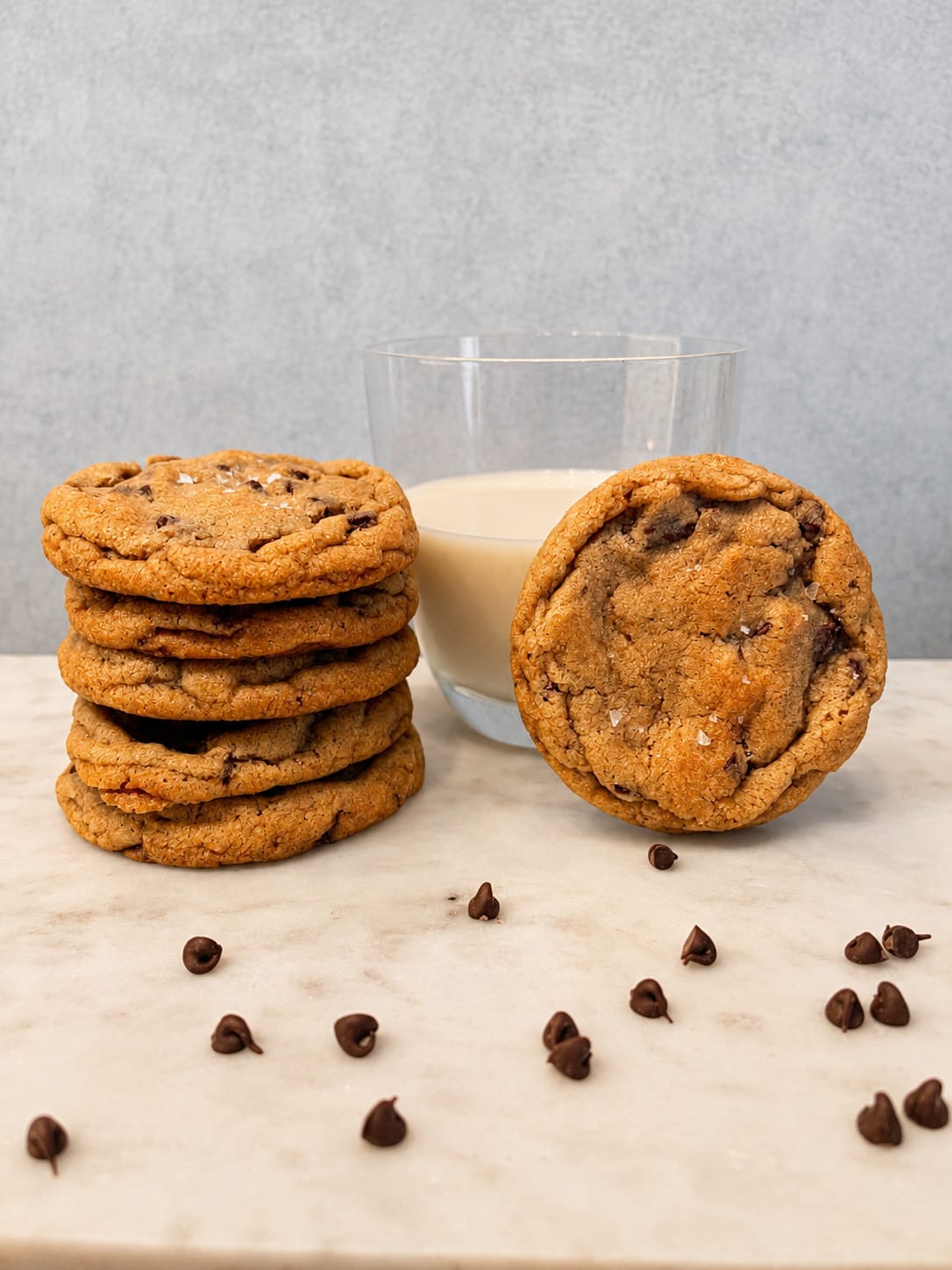 Chocolate Chip Cookie x 6