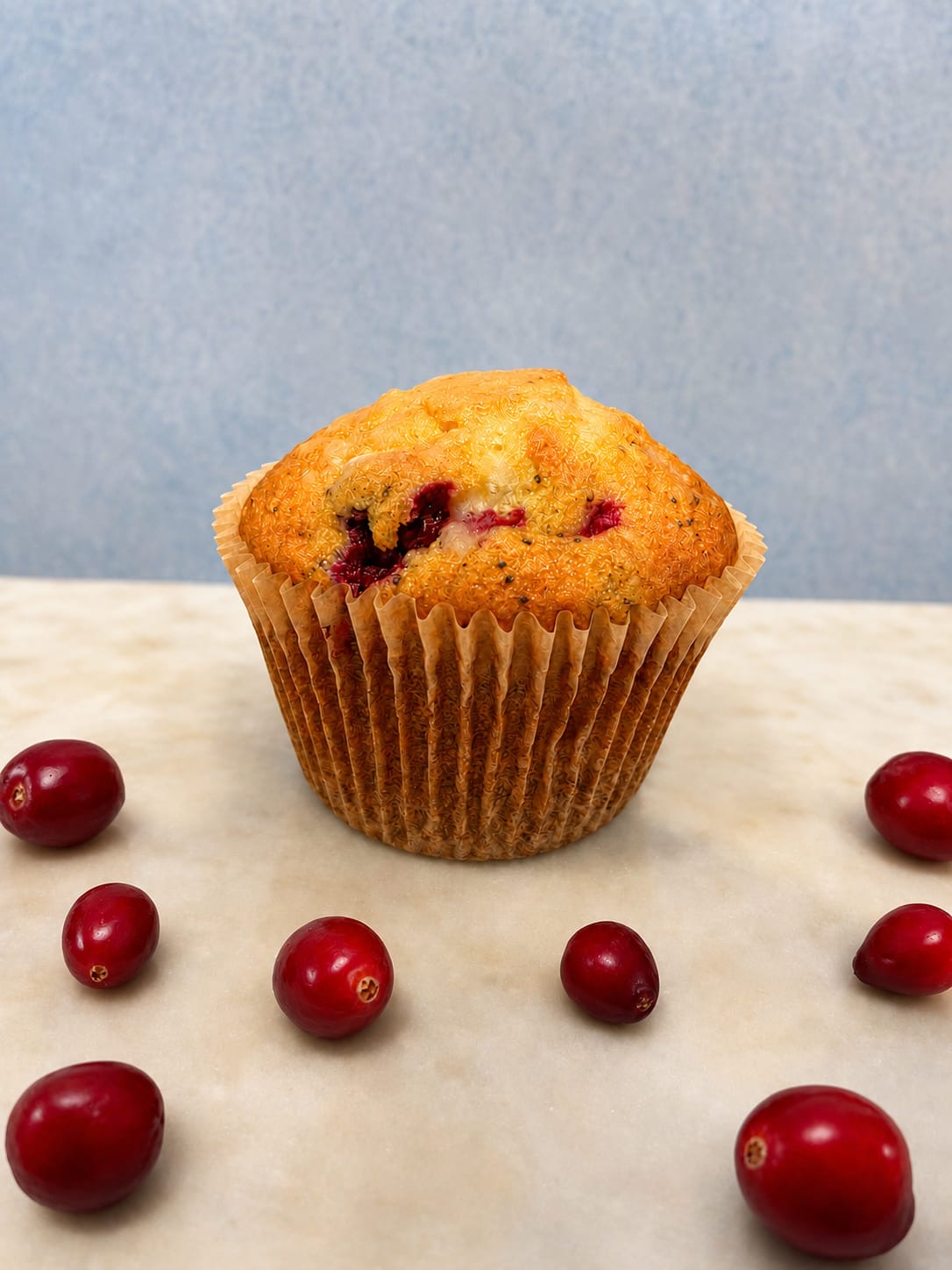 Orange Cranberry Muffin x 4
